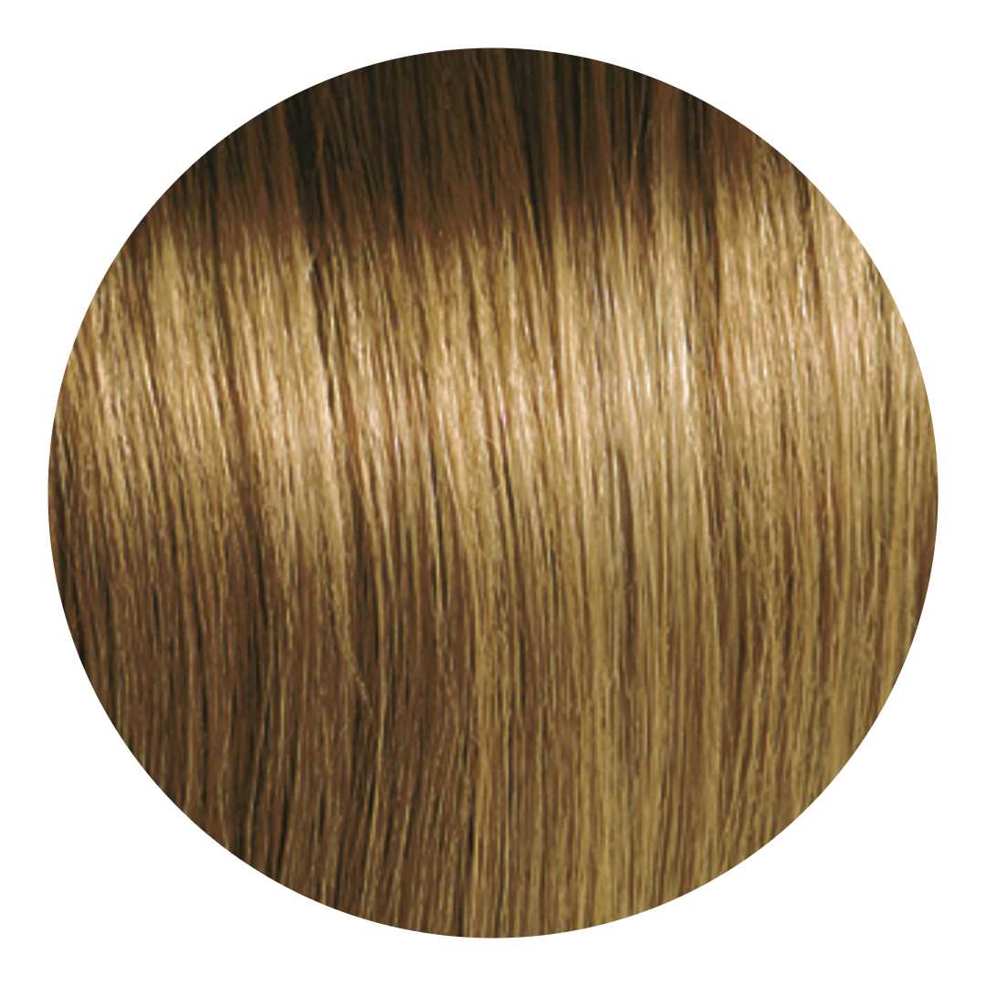 Rubios y Cobrizos-8-Rubio Oscuro Dorado 6.3