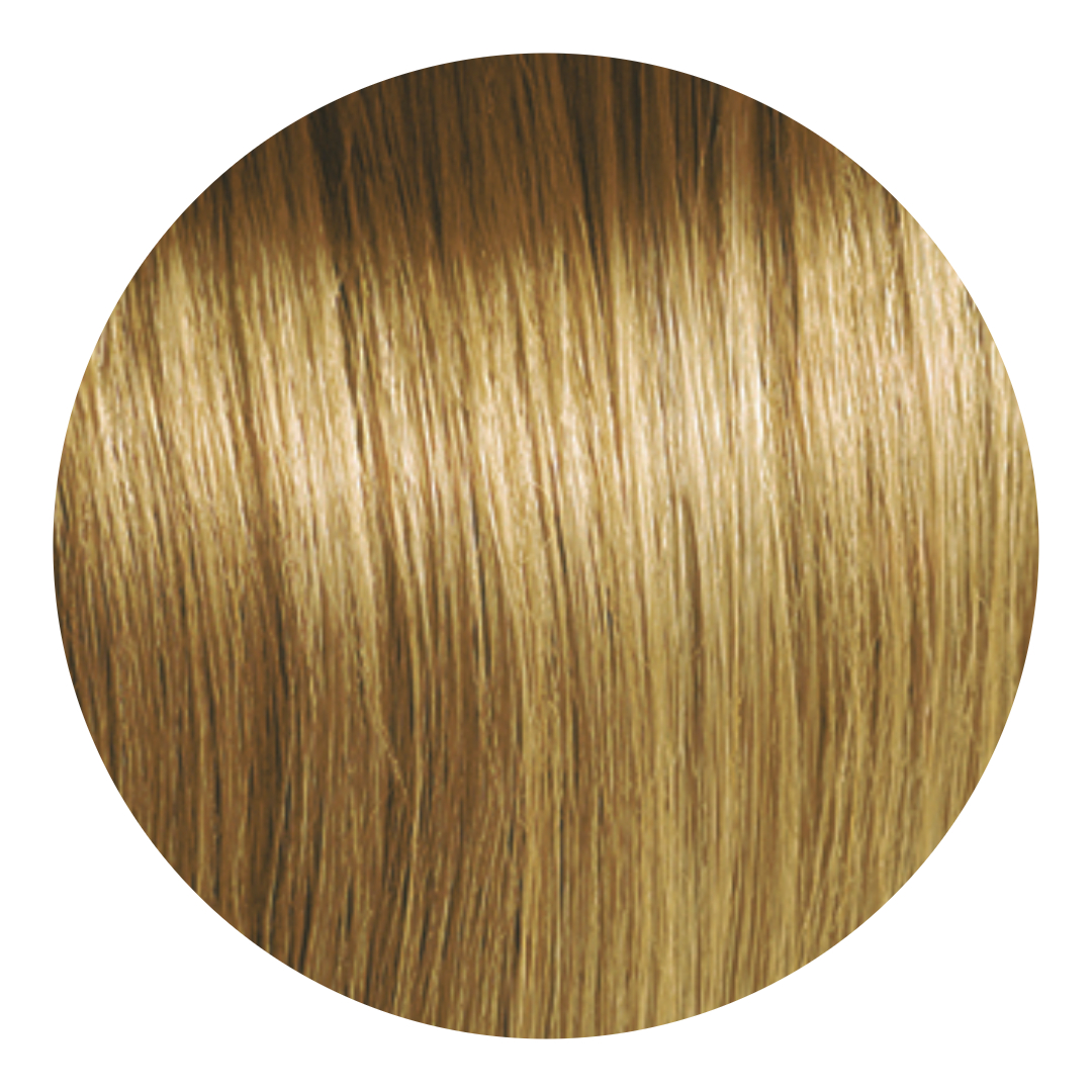 Rubios y Cobrizos-9-Rubio Dorado 7.3